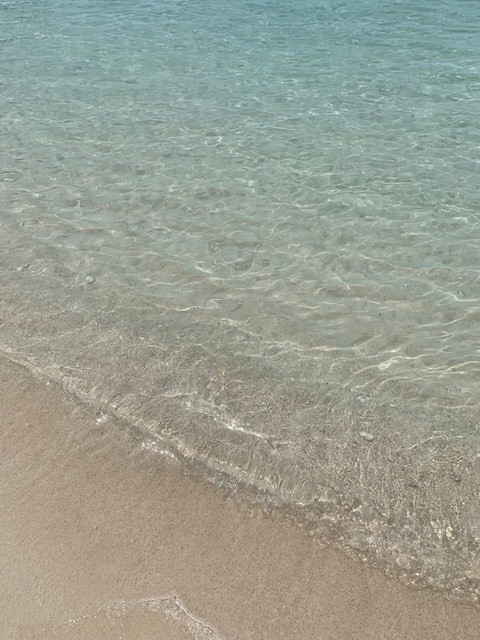 アンチ浜　透明度